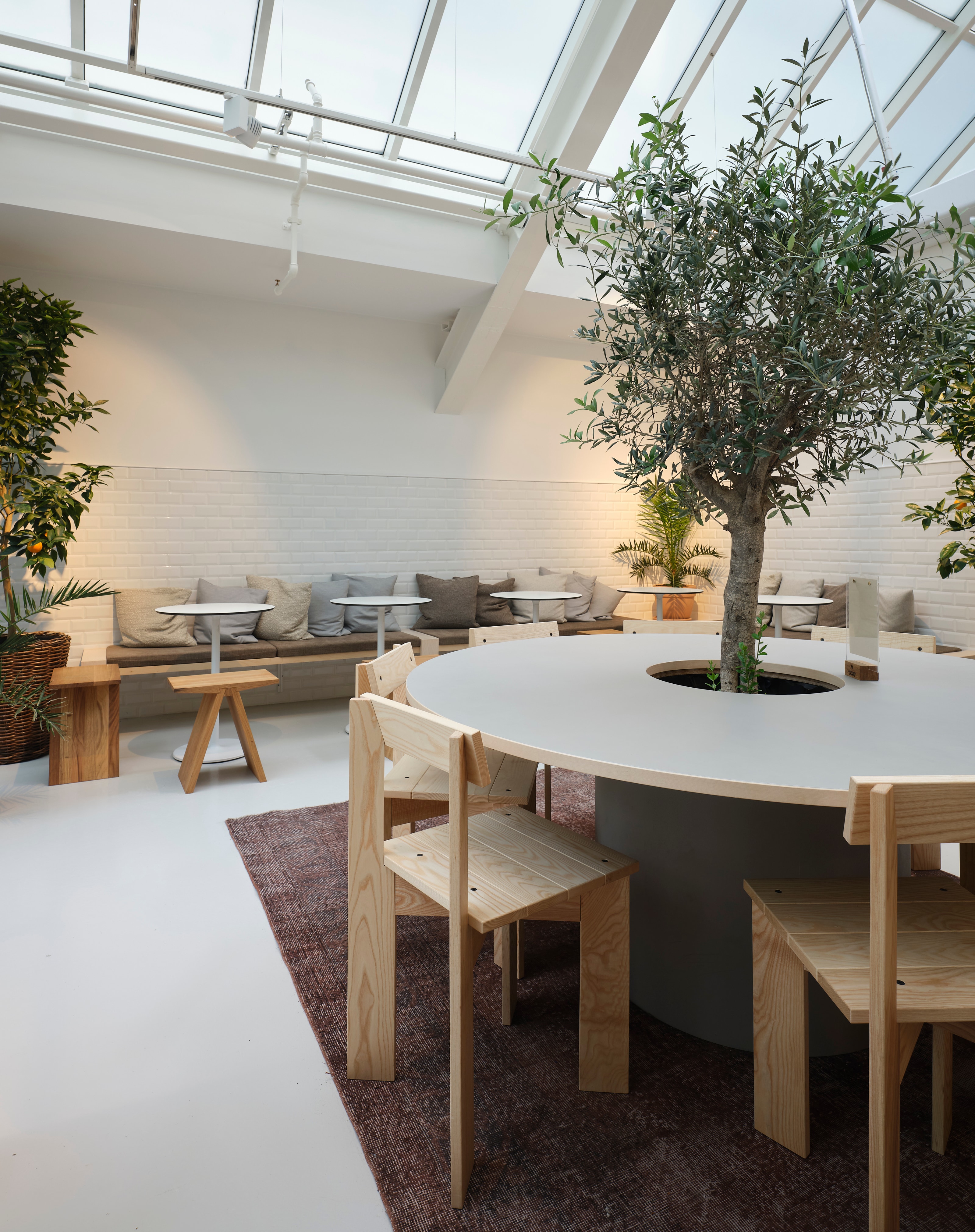Seating around the olive tree beneath the glass roof in Amager Centret